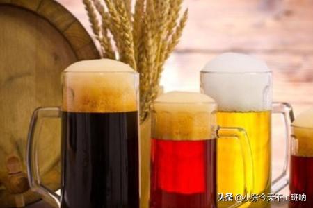 高热量食物一览表图片（高热量食物一览表食物有哪些）