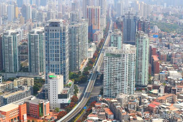 厦门是哪个省的城市（厦门是哪个省的城市天气预报）