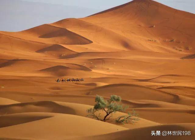 大自然奇观有哪些（大自然奇观有哪些图片）