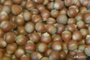 生板栗怎么做好吃（生板栗怎么做好吃又简单的做法）