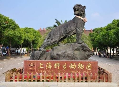 上海周边游哪里好玩（上海周边游去哪）