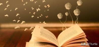 关于读书的唯美句子（关于读书的精美语句）