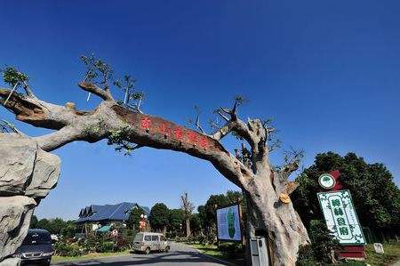 江苏南京旅游景点攻略（江苏省南京旅游景点）