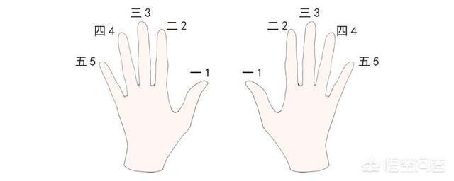 电子琴1234567指法图（1234567手势图）