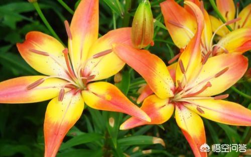 奔跑的近义词（奔跑的近义词二年级）