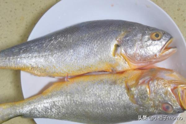 红烧黄花鱼的家常做法步骤（清蒸黄鱼怎么做）