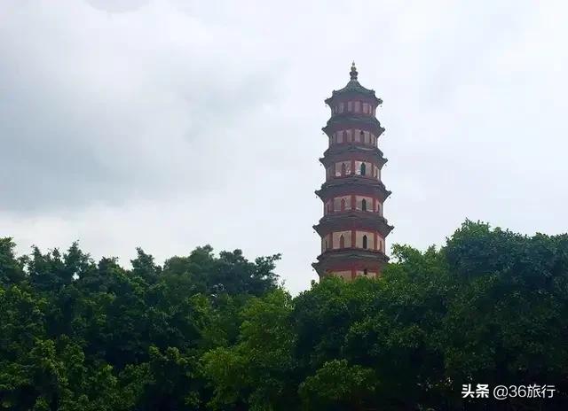 广州一日游旅游团（广州一日游旅游团价格）