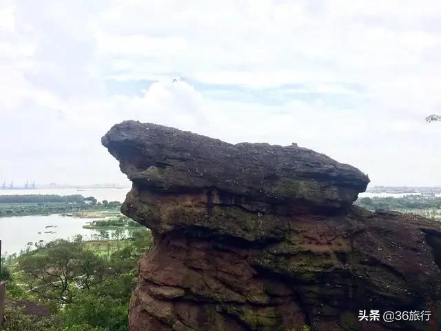 广州一日游旅游团（广州一日游旅游团价格）
