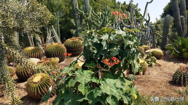 厦门必去旅游景点推荐（厦门必去旅游景区）