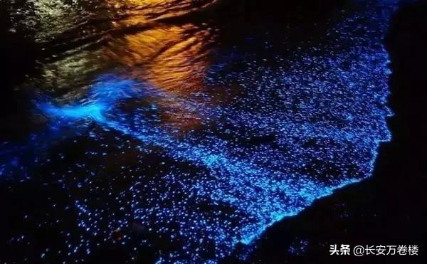 全球十大自然奇观(全球十大自然奇观图片)