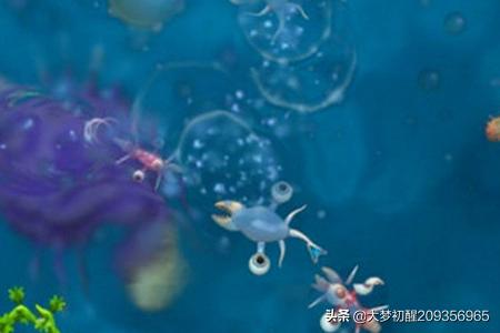 手机游戏单机游戏(手机游戏单机游戏网站)